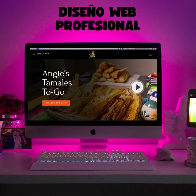 professional Web design chicago (5) Haztusitio