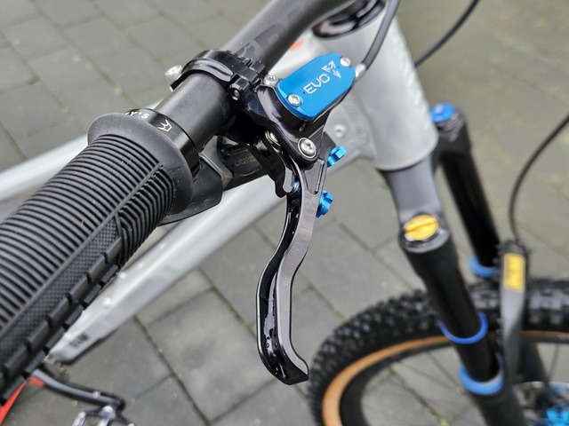 20251214 145836 RAAW Madonna v3.0