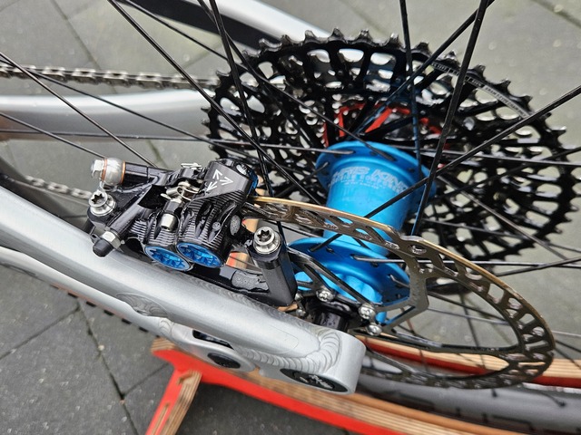 20251214 145848 RAAW Madonna v3.0