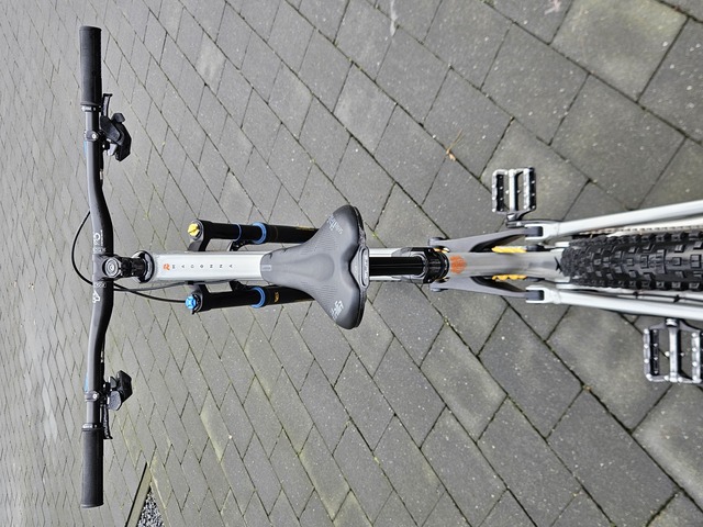 20251214 145913 RAAW Madonna v3.0