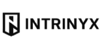 Logo Intrinyx