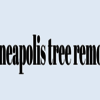 Tree Removal Service Minneapolis