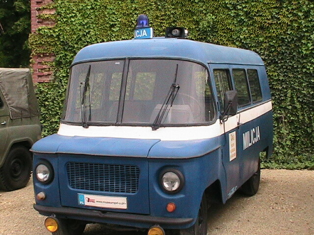 IMG 1556 my AMAZING photos