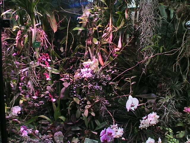 IMG 1600 my AMAZING photos