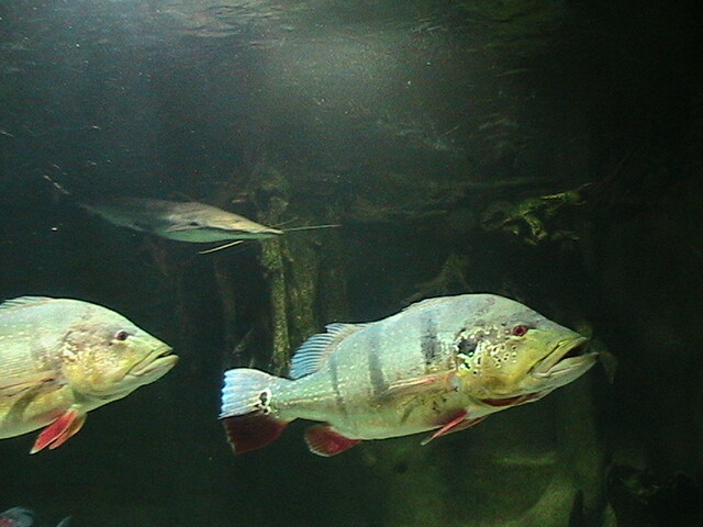 IMG 1622 my AMAZING photos