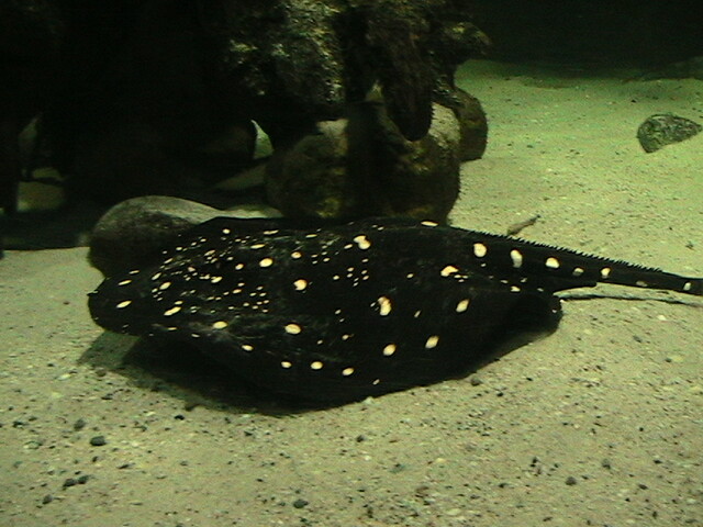 IMG 1626 my AMAZING photos