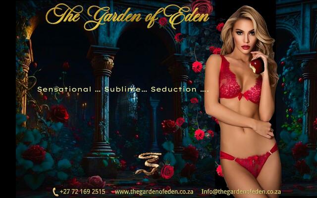 Premium Escort Services in Cape Town Picture Box