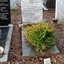 John bij het graf 31-12-25 3 - R.I.P. Father 1915-1992 & Mother 1921-2012