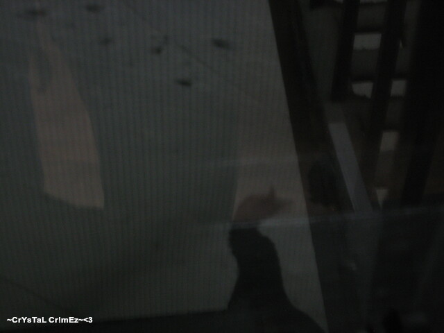 IMG 2402 Picture Box