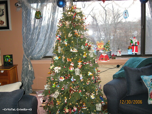 IMG 2456 Picture Box