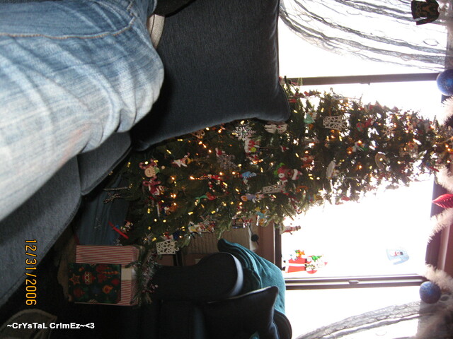 IMG 2465 Picture Box