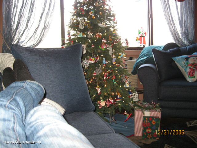 IMG 2467 Picture Box