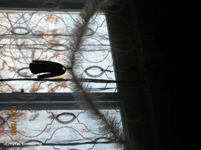 IMG 2473 Picture Box