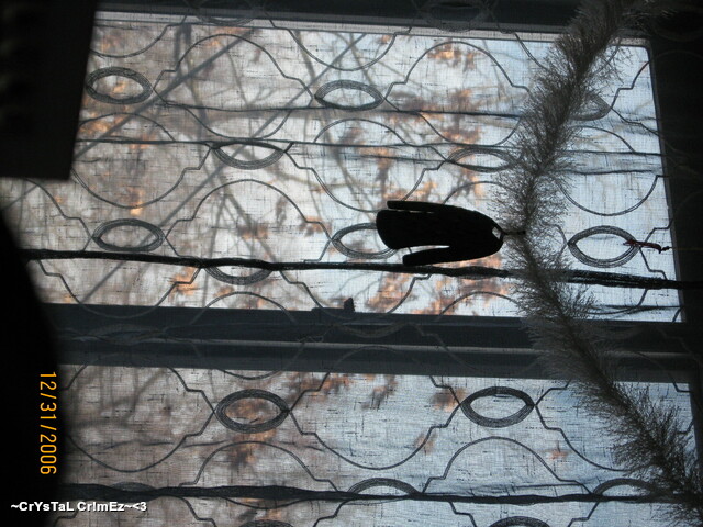 IMG 2474 Picture Box