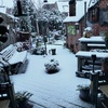 Tuin in de sneeuw 03-01-26 4 - Garden 2023 & 2024 & 2025 &...