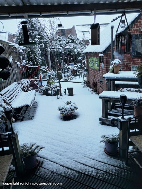 Tuin in de sneeuw 03-01-26 4 Garden 2023 & 2024 & 2025 & 2026