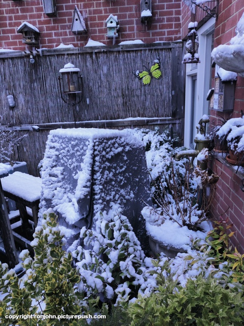 Tuin in de sneeuw 03-01-26 3 Garden 2023 & 2024 & 2025 & 2026