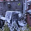 Tuin in de sneeuw 03-01-26 3 - Garden 2023 & 2024 & 2025 & 2026