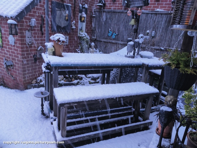 Tuin in de sneeuw 03-01-26 2 Garden 2023 & 2024 & 2025 & 2026