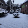 Tuin in de sneeuw 03-01-26 1 - Garden 2023 & 2024 & 2025 &...