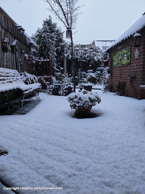 Tuin in de sneeuw 03-01-26 1 Garden 2023 & 2024 & 2025 & 2026