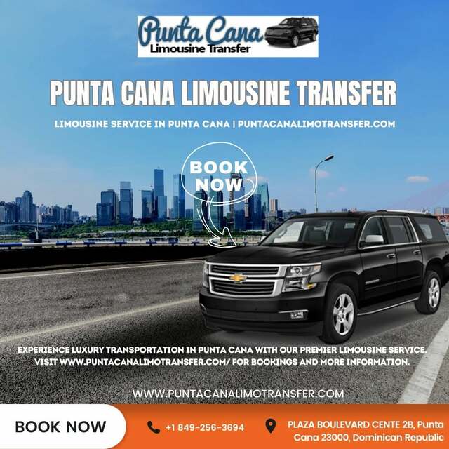 Executive car service in Punta Cana Picture Box