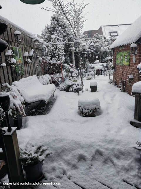 Achtertuin 05-01-26 Garden 2023 & 2024 & 2025 & 2026