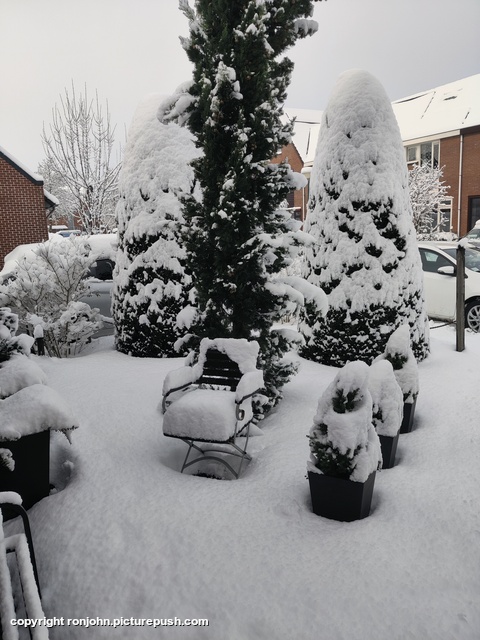 Voortuin 05-01-26 Garden 2023 & 2024 & 2025 & 2026