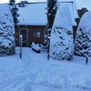 Pak sneeuw 06-01-26 1 - Garden 2023 & 2024 & 2025 &...