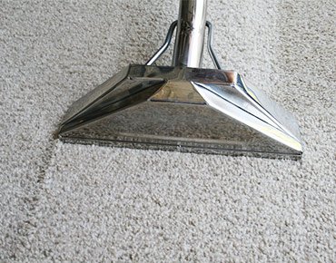 1 Carpetcleaning newli