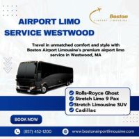 Airport Limo Service Westwood, Picture Box