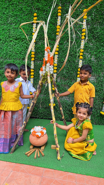 Williez Pre School - Makar Sankranti And Pongal Ce Williez Pre School