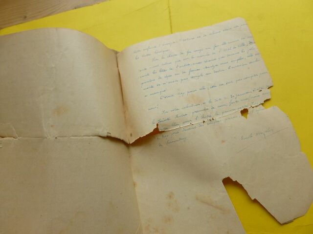 P1640737 p DBX-26-JF