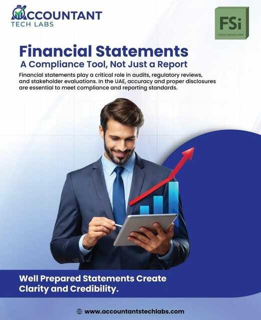 Accountant Tech labs Picture Box