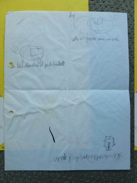 P1650317 p DBX-26-JF