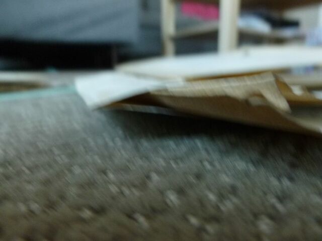 P1650415 p DBX-26-JF