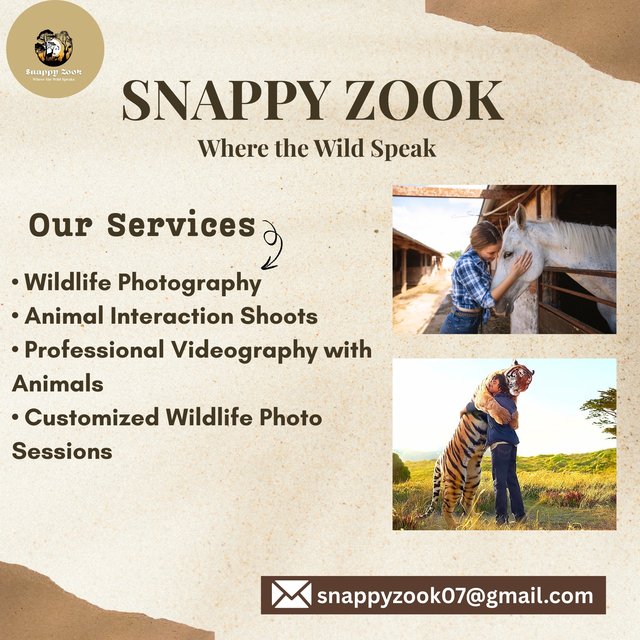 Add a heading (2) Photography