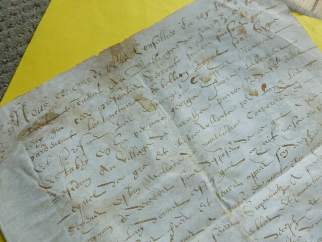 P1650514 p DBX-26-JF