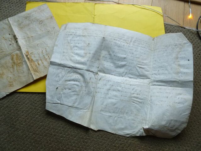 P1650522 p DBX-26-JF