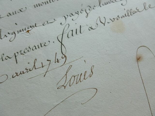 P1650539 p DBX-26-JF