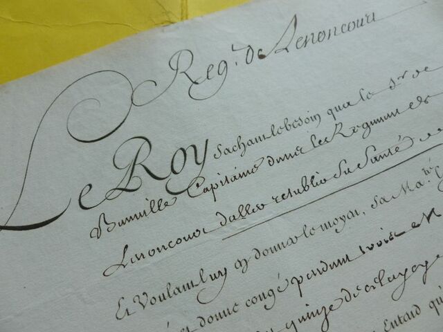 P1650544 p DBX-26-JF