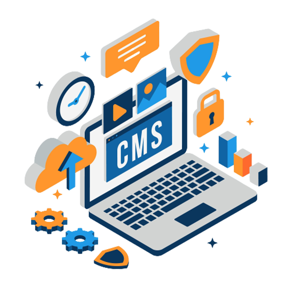 Best CMS-Website-Design Picture Box