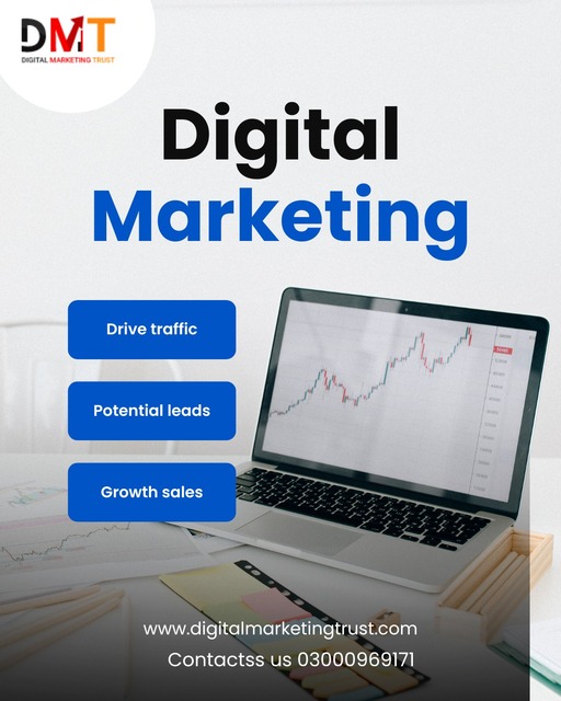 Digital Marketing Services in pakistan Picture Box