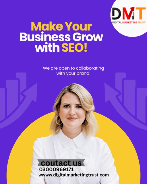 SEO Services in Pakistan Picture Box