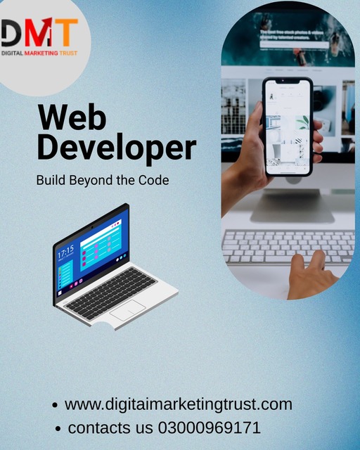 Web Development Services in Pakistan Picture Box