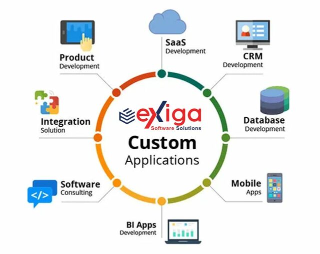 Custom-WEB APPLICATION Picture Box