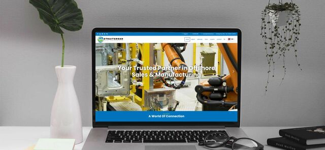 Website-Development-Company-Singapore Picture Box