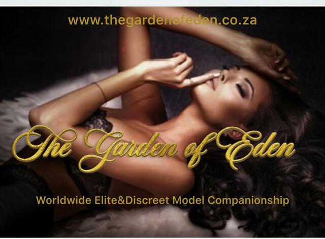 High class model Cape Town | thegardenofeden.co Picture Box