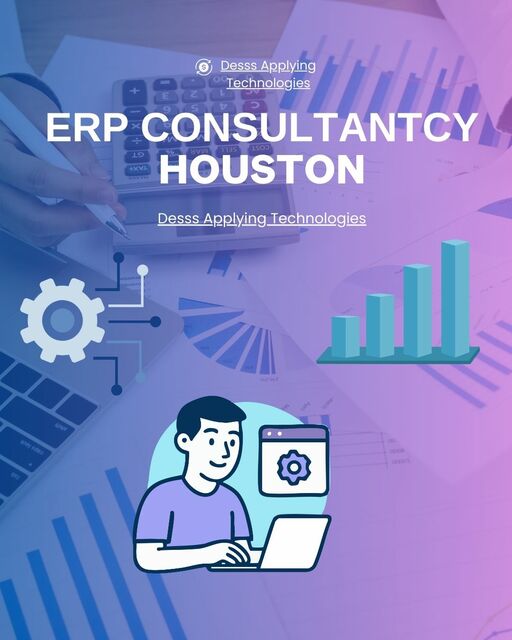 Best ERP Consulting in Houston Picture Box