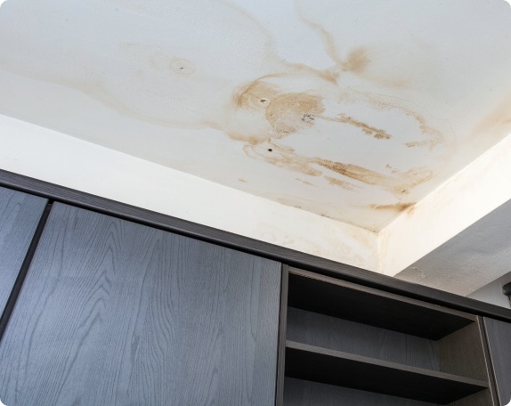 image-11 Picture Box